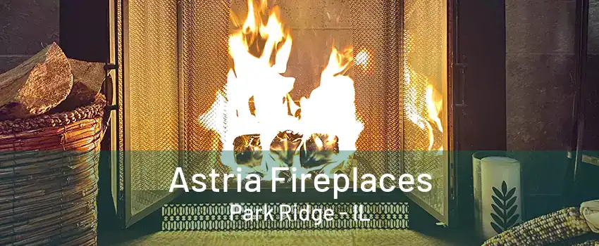 Astria Fireplaces Park Ridge - IL