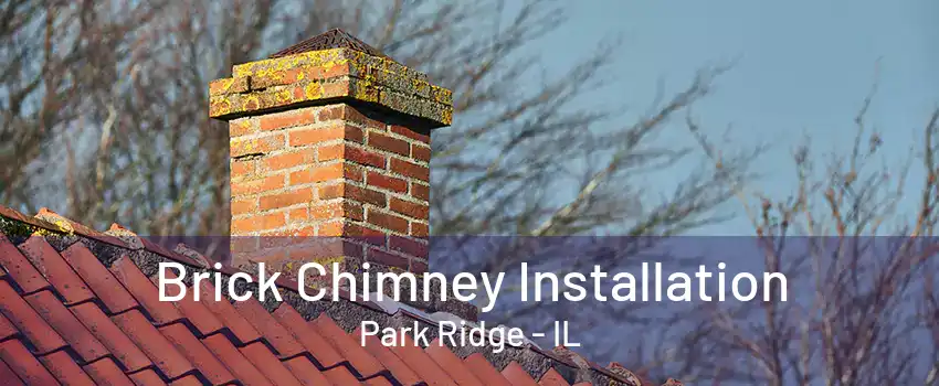 Brick Chimney Installation Park Ridge - IL