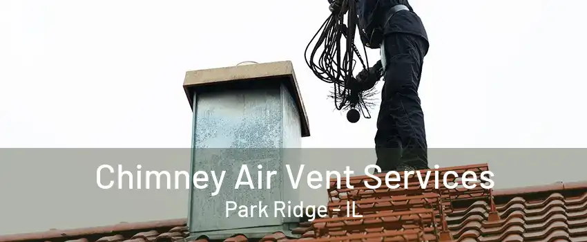 Chimney Air Vent Services Park Ridge - IL