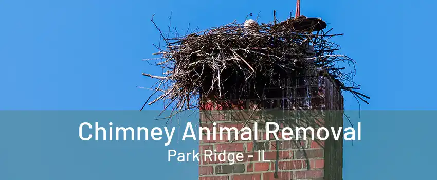 Chimney Animal Removal Park Ridge - IL