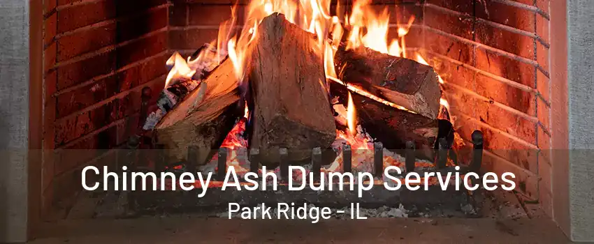 Chimney Ash Dump Services Park Ridge - IL