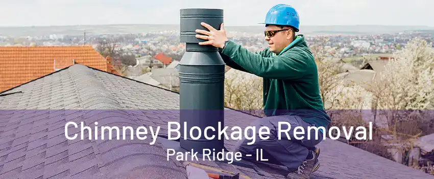 Chimney Blockage Removal Park Ridge - IL