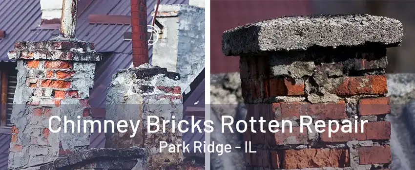 Chimney Bricks Rotten Repair Park Ridge - IL