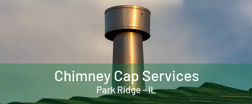 Chimney Cap Services Park Ridge - IL