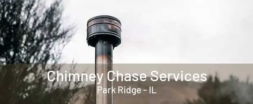 Chimney Chase Services Park Ridge - IL