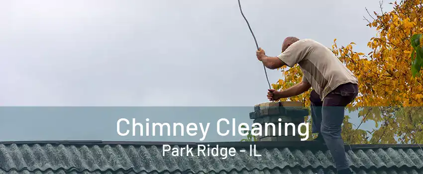 Chimney Cleaning Park Ridge - IL