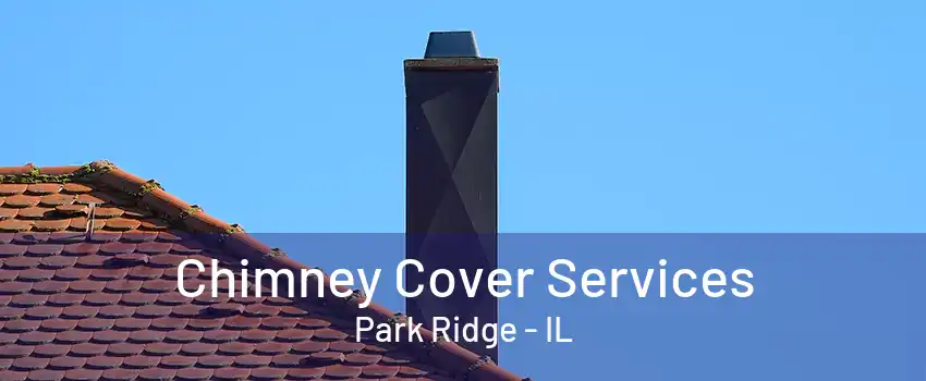 Chimney Cover Services Park Ridge - IL