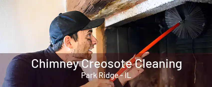 Chimney Creosote Cleaning Park Ridge - IL