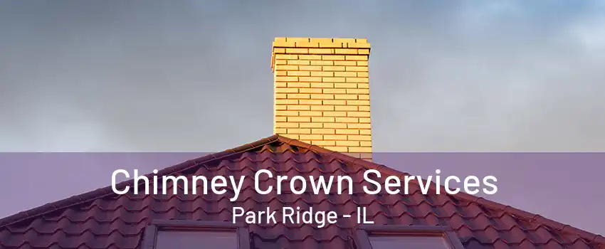 Chimney Crown Services Park Ridge - IL