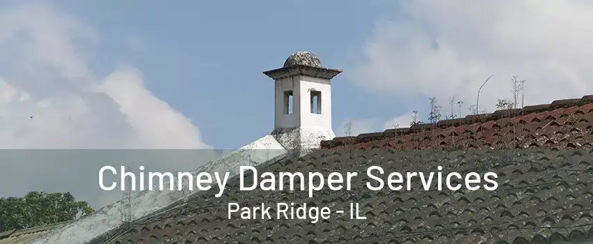 Chimney Damper Services Park Ridge - IL