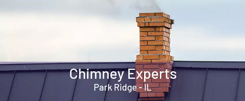 Chimney Experts Park Ridge - IL