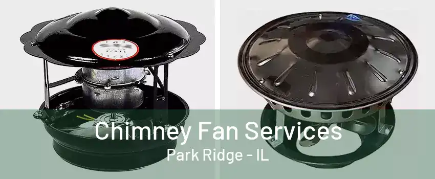 Chimney Fan Services Park Ridge - IL