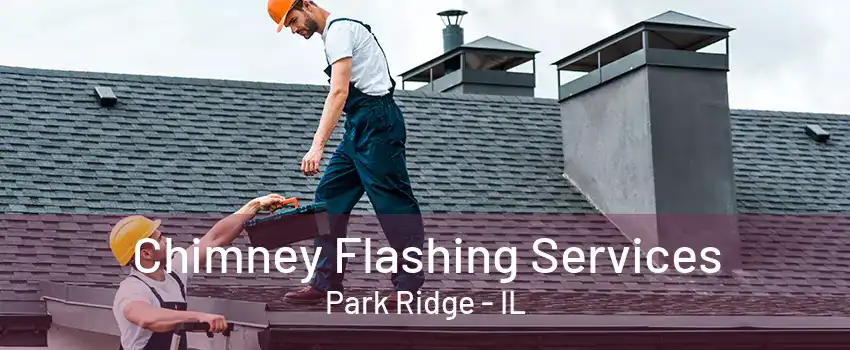 Chimney Flashing Services Park Ridge - IL