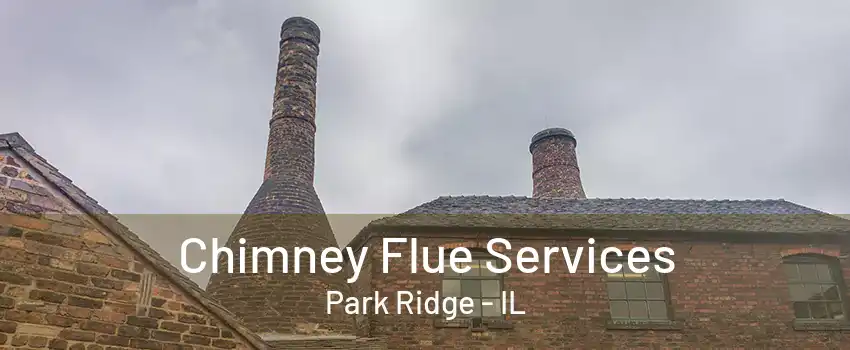 Chimney Flue Services Park Ridge - IL