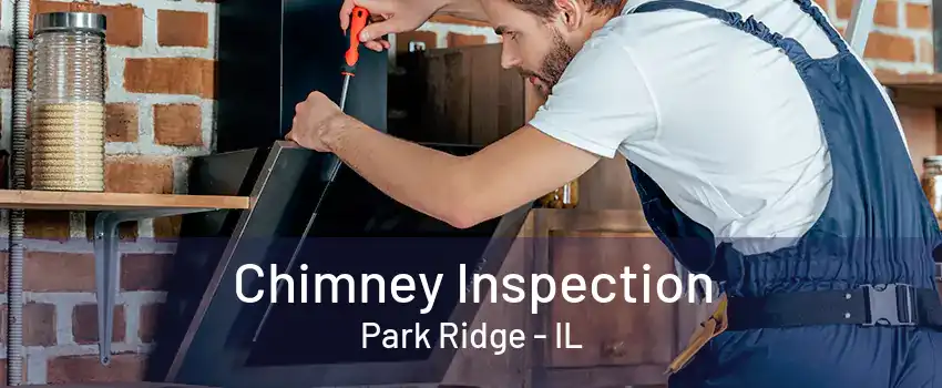 Chimney Inspection Park Ridge - IL