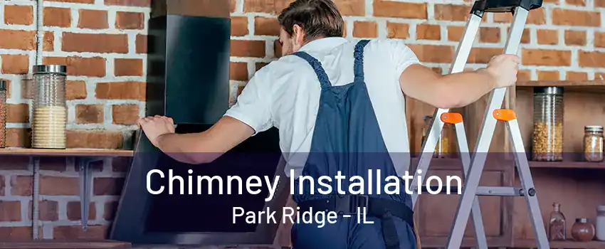 Chimney Installation Park Ridge - IL