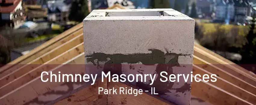 Chimney Masonry Services Park Ridge - IL