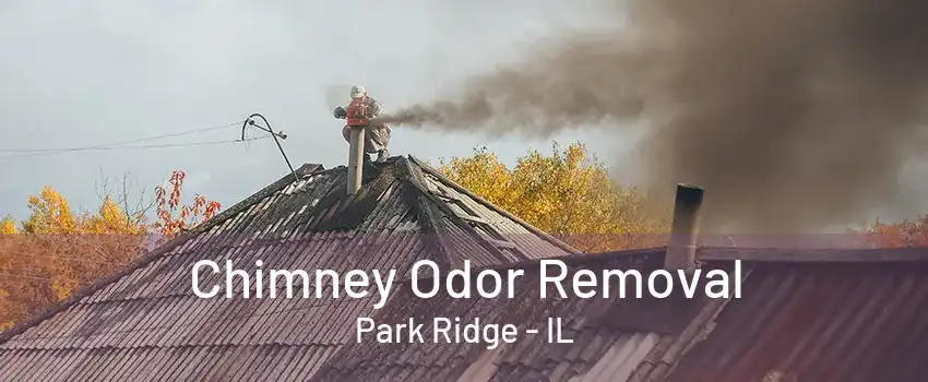 Chimney Odor Removal Park Ridge - IL