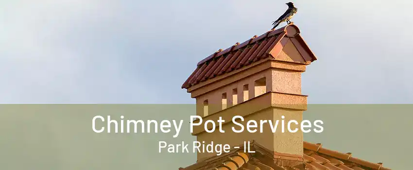 Chimney Pot Services Park Ridge - IL