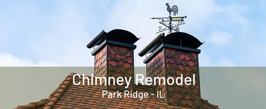 Chimney Remodel Park Ridge - IL