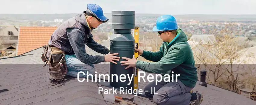 Chimney Repair Park Ridge - IL