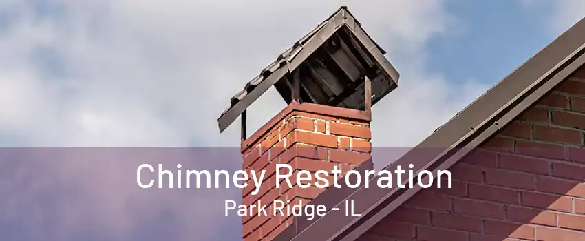 Chimney Restoration Park Ridge - IL