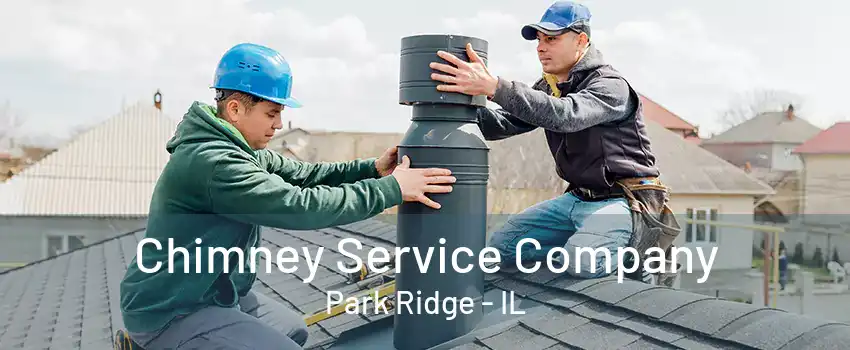 Chimney Service Company Park Ridge - IL