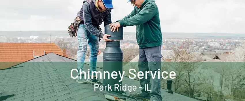 Chimney Service Park Ridge - IL