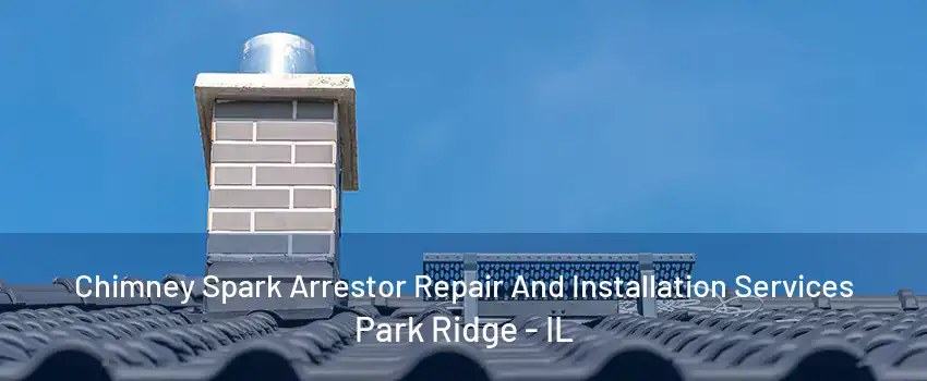 Chimney Spark Arrestor Repair And Installation Services Park Ridge - IL