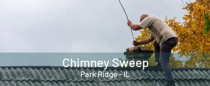 Chimney Sweep Park Ridge - IL