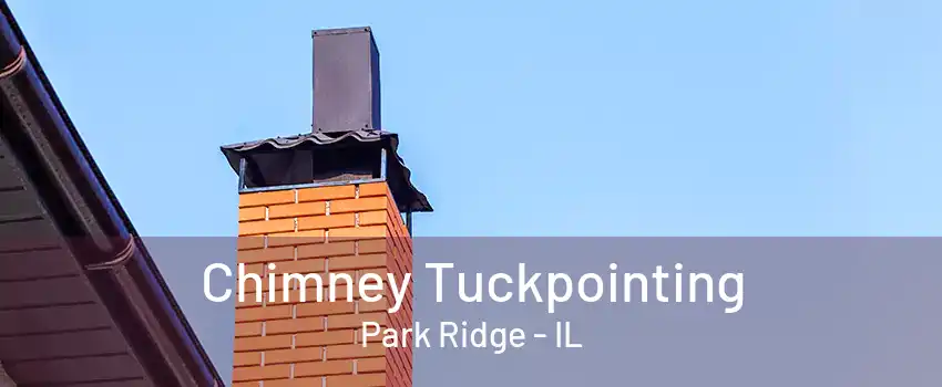 Chimney Tuckpointing Park Ridge - IL