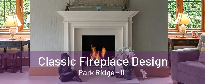 Classic Fireplace Design Park Ridge - IL