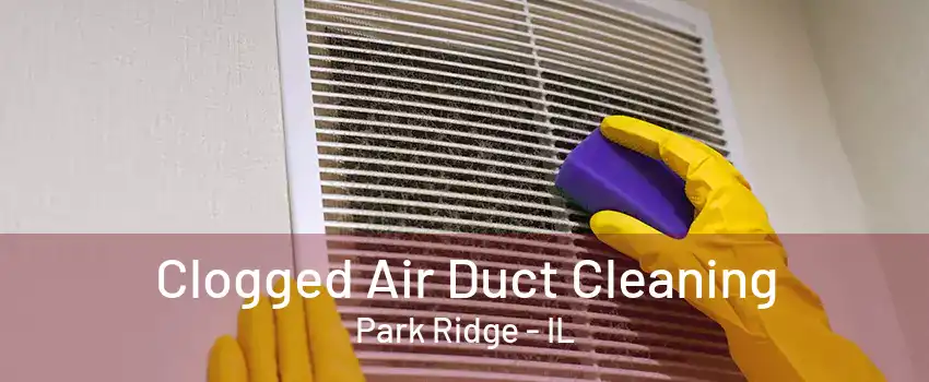 Clogged Air Duct Cleaning Park Ridge - IL