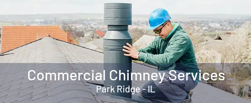 Commercial Chimney Services Park Ridge - IL