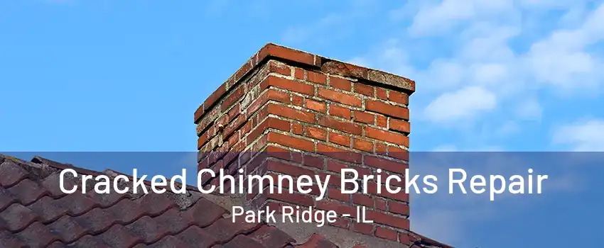 Cracked Chimney Bricks Repair Park Ridge - IL