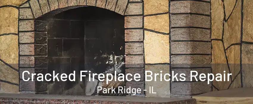 Cracked Fireplace Bricks Repair Park Ridge - IL