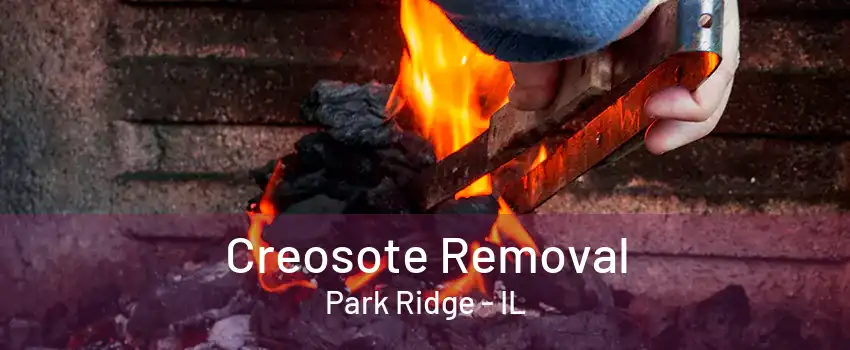 Creosote Removal Park Ridge - IL