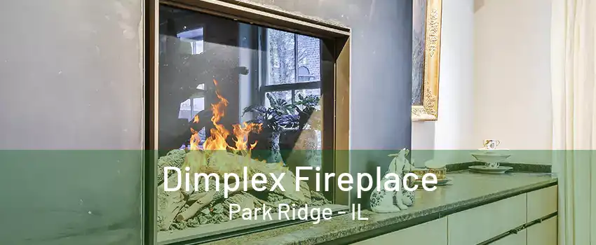 Dimplex Fireplace Park Ridge - IL