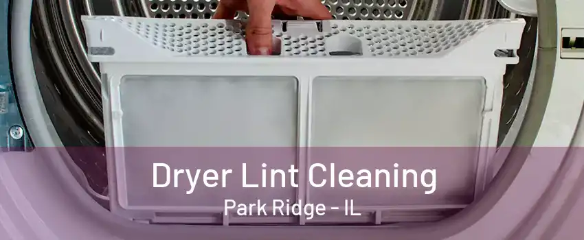 Dryer Lint Cleaning Park Ridge - IL