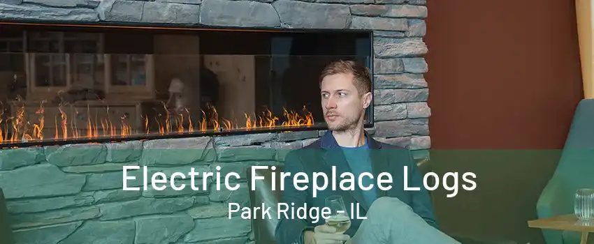 Electric Fireplace Logs Park Ridge - IL