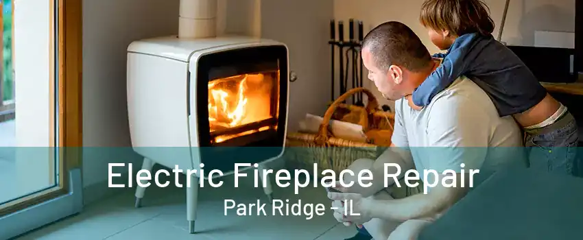 Electric Fireplace Repair Park Ridge - IL