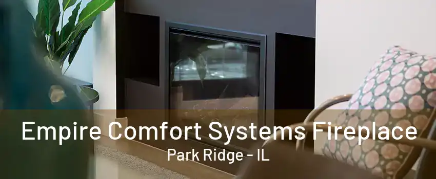 Empire Comfort Systems Fireplace Park Ridge - IL