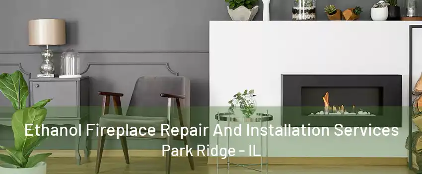 Ethanol Fireplace Repair And Installation Services Park Ridge - IL