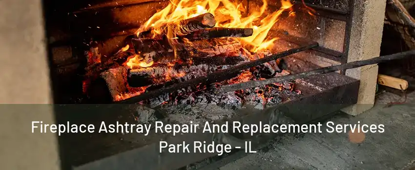 Fireplace Ashtray Repair And Replacement Services Park Ridge - IL