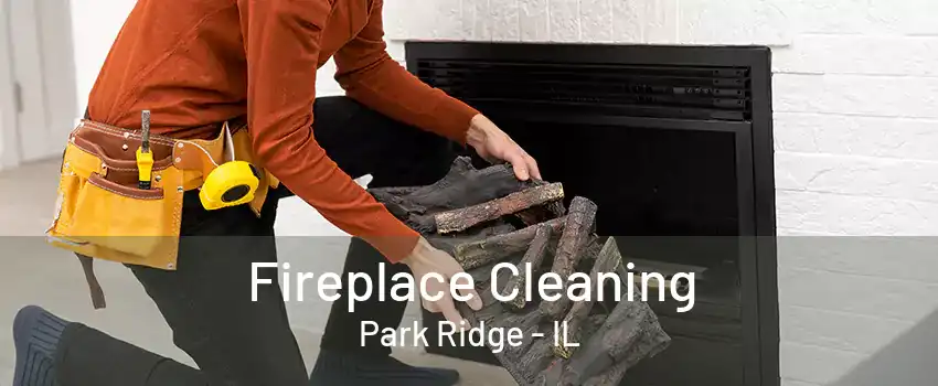 Fireplace Cleaning Park Ridge - IL