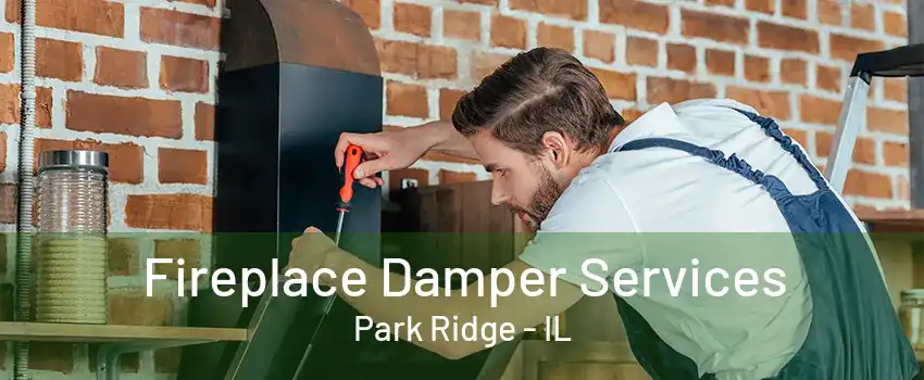 Fireplace Damper Services Park Ridge - IL