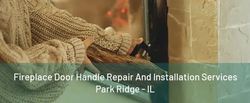 Fireplace Door Handle Repair And Installation Services Park Ridge - IL