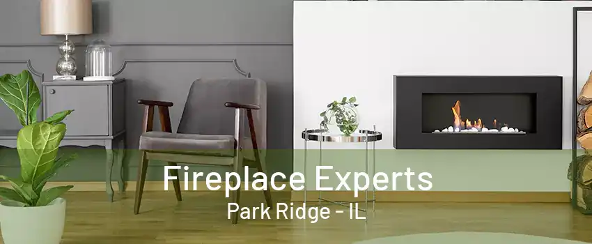 Fireplace Experts Park Ridge - IL