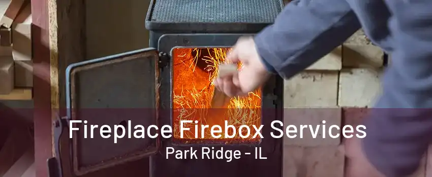 Fireplace Firebox Services Park Ridge - IL