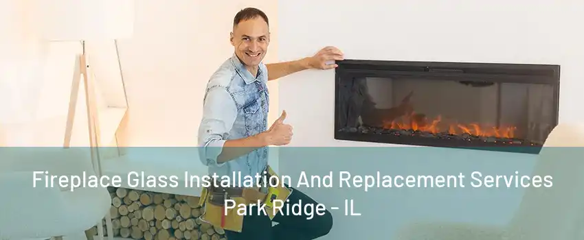 Fireplace Glass Installation And Replacement Services Park Ridge - IL